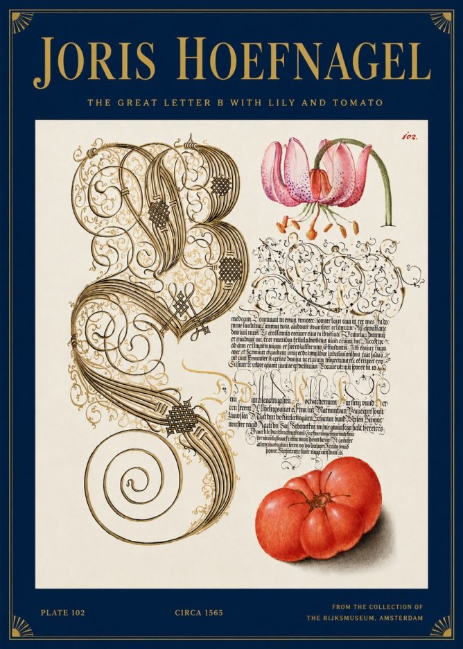 Joris Hoefnagel The Great Letter B with Lily and Tomato No3 - Póster