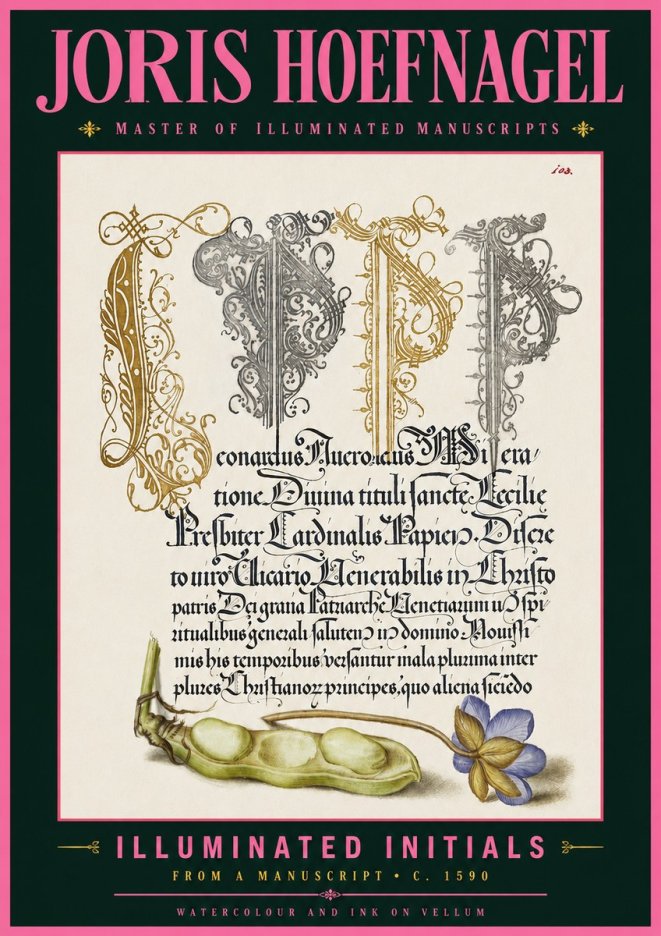 Joris Hoefnagel Illuminated Initials with Peapod and Flower No6 - Póster
