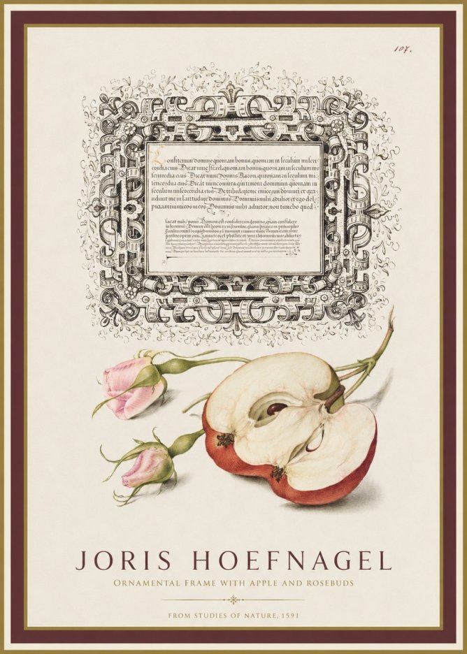 Joris Hoefnagel Illuminated Calligraphy and Botanical Study No2 - Póster