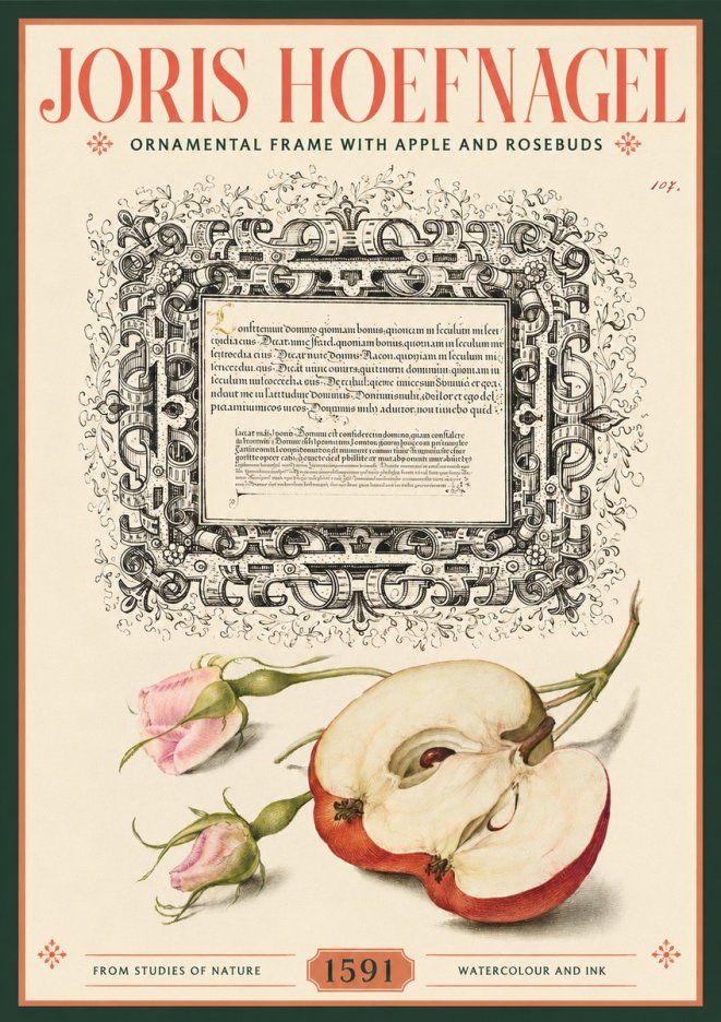 Joris Hoefnagel Illuminated Calligraphy and Botanical Study No3 - Póster