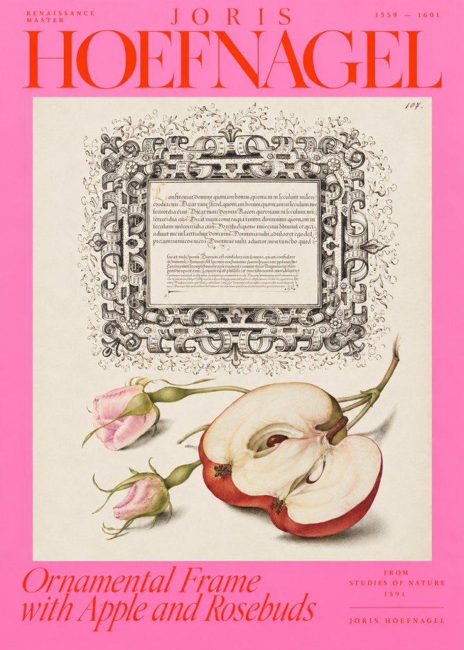 Joris Hoefnagel Illuminated Calligraphy and Botanical Study No4 - Póster
