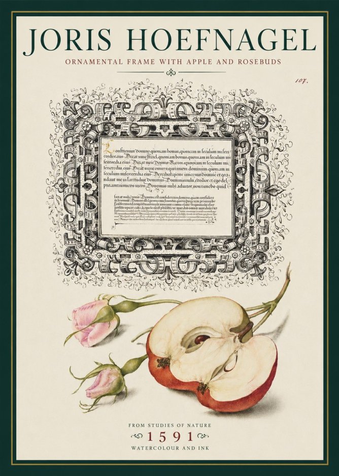 Joris Hoefnagel Illuminated Calligraphy and Botanical Study No5 - Póster