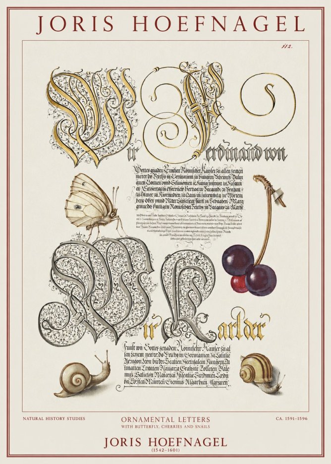 Joris Hoefnagel Ornamental Letters with Butterfly, Cherries and Snails No1 - Póster