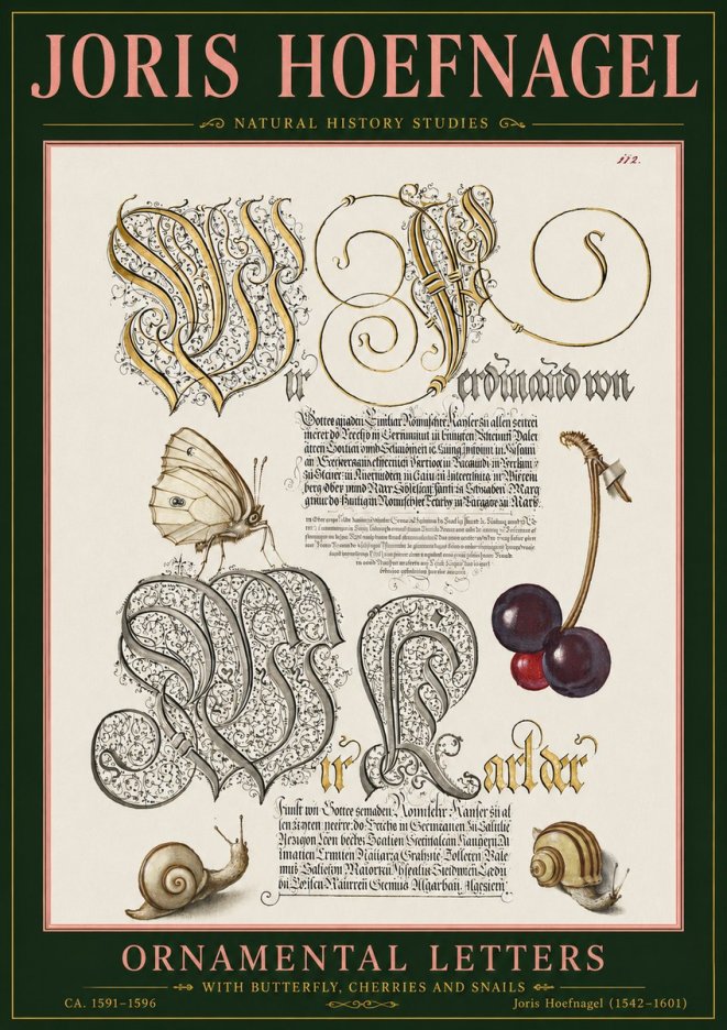 Joris Hoefnagel Ornamental Letters with Butterfly, Cherries and Snails No5 - Póster