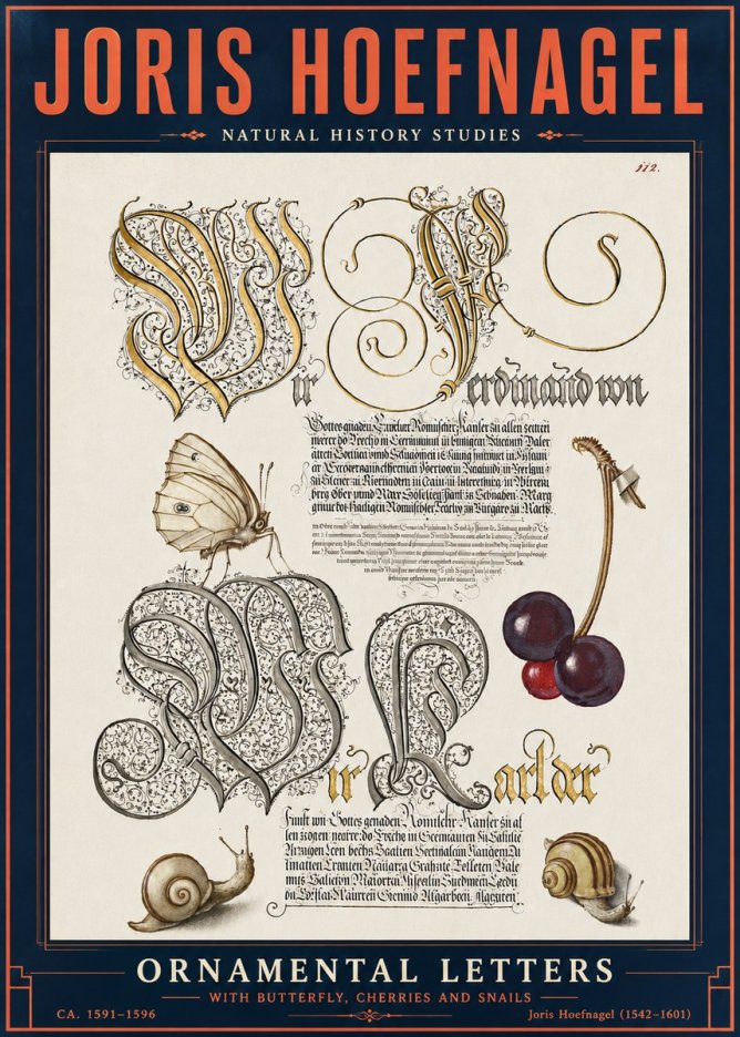 Joris Hoefnagel Ornamental Letters with Butterfly, Cherries and Snails No6 - Póster