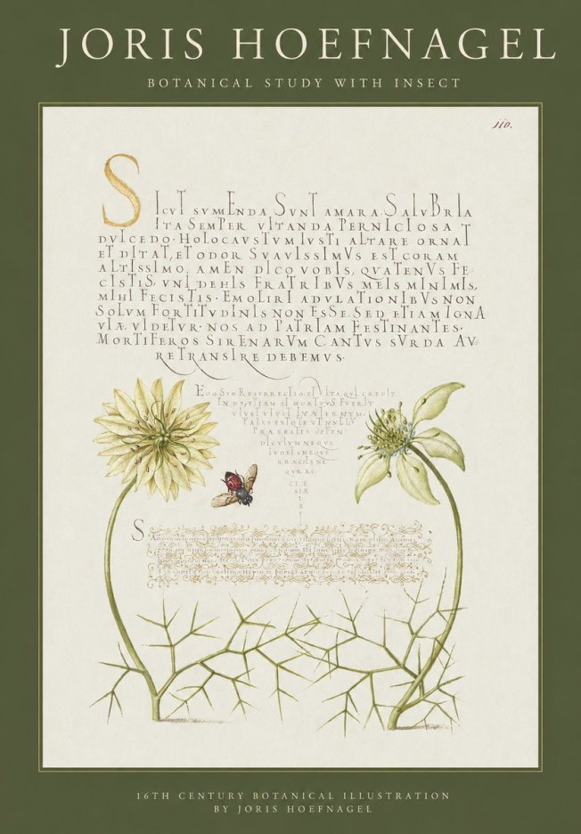 Joris Hoefnagel Botanical Study with Insect No1 - Póster