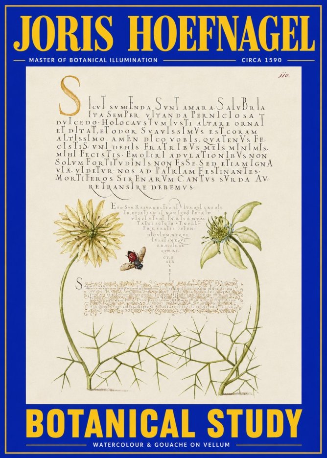 Joris Hoefnagel Botanical Study with Insect No4 - Póster