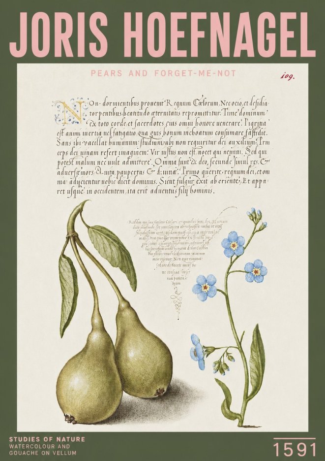 Joris Hoefnagel Pears and Forget-me-not No3 - Póster