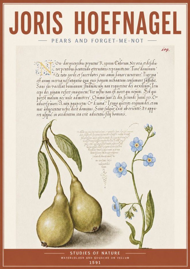Joris Hoefnagel Pears and Forget-me-not No5 - Póster