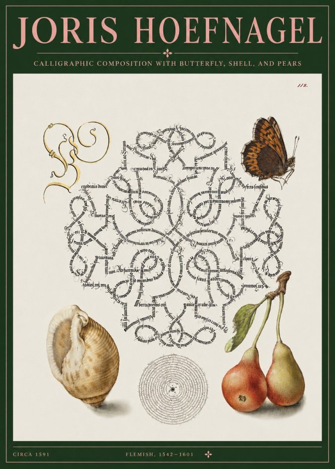 Joris Hoefnagel Calligraphic Composition with Butterfly, Shell, and Pears No3 - Póster