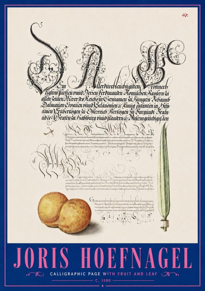 Joris Hoefnagel Calligraphic Page with Fruit and Leaf No5 - Póster
