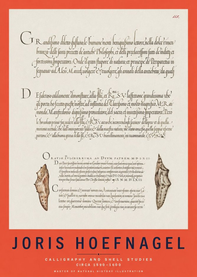 Joris Hoefnagel Study of Shells and Calligraphy No3 - Póster