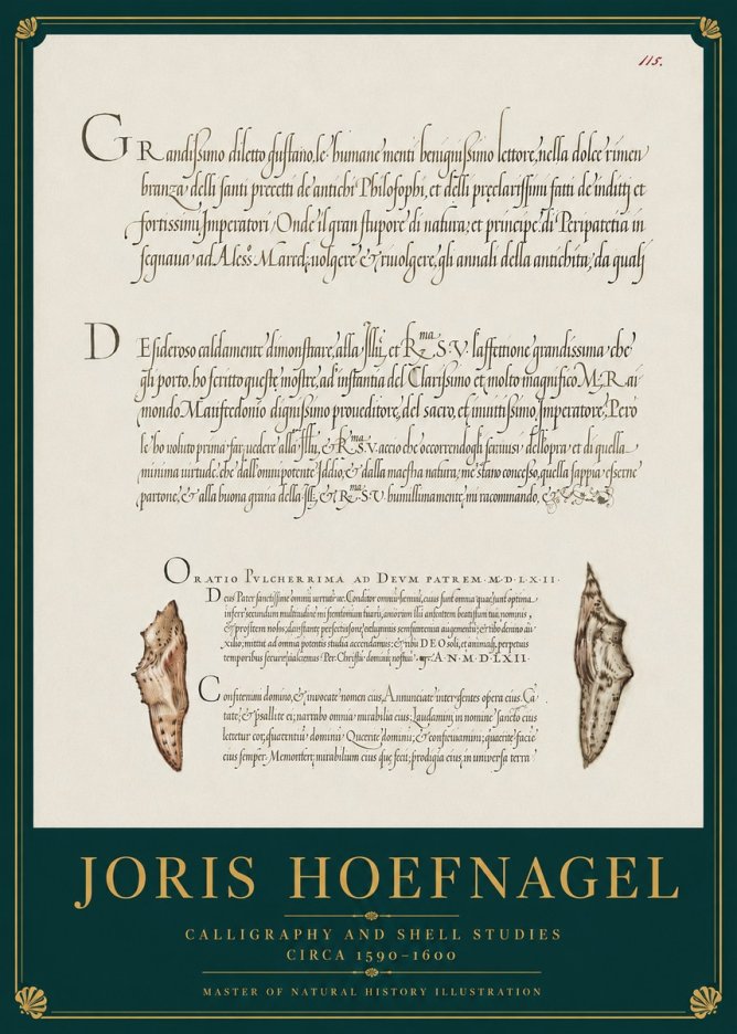 Joris Hoefnagel Study of Shells and Calligraphy No4 - Póster