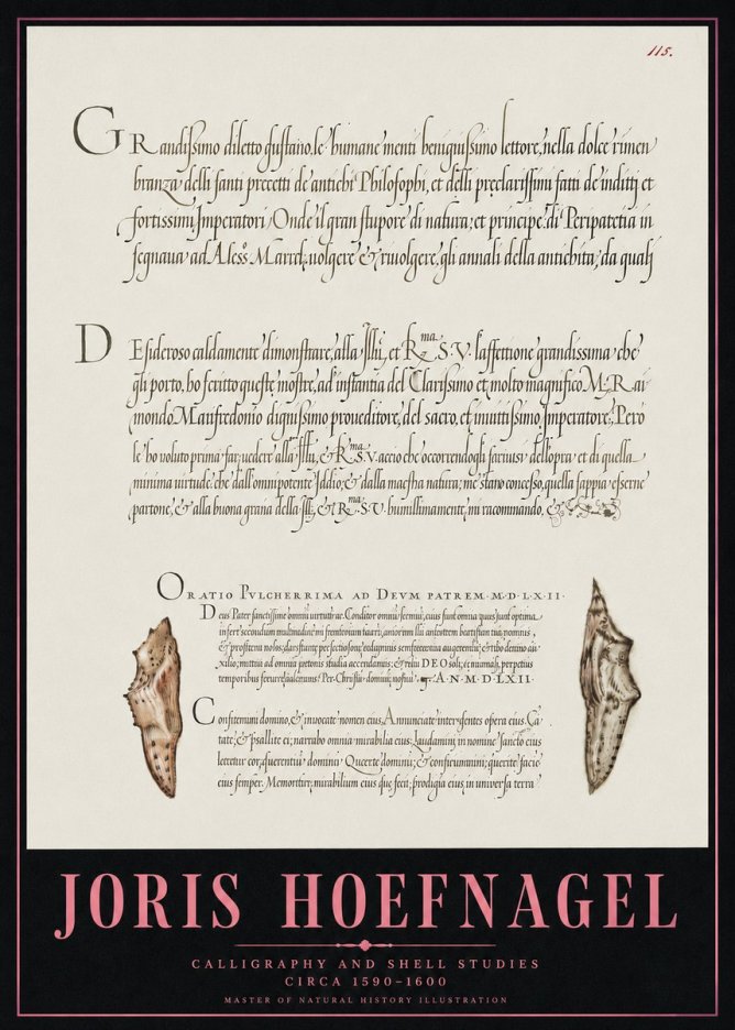 Joris Hoefnagel Study of Shells and Calligraphy No5 - Póster