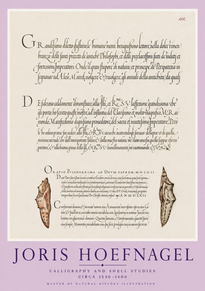 Joris Hoefnagel Study of Shells and Calligraphy No6 - Póster