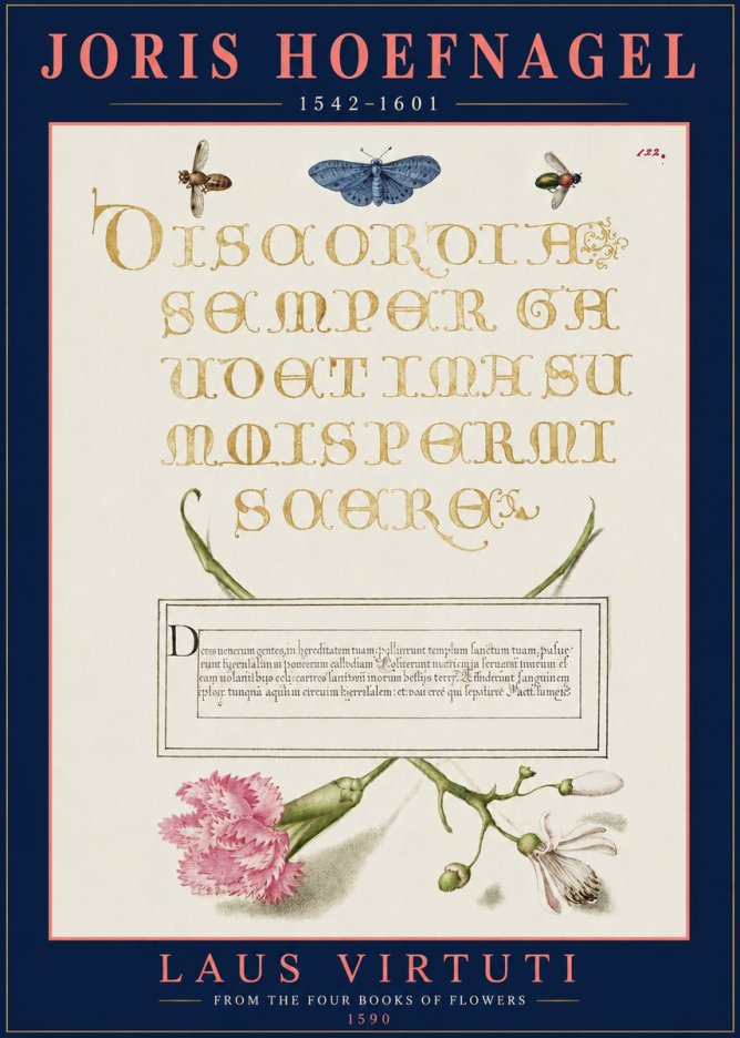 Joris Hoefnagel Laus Virtuti No3 - Póster