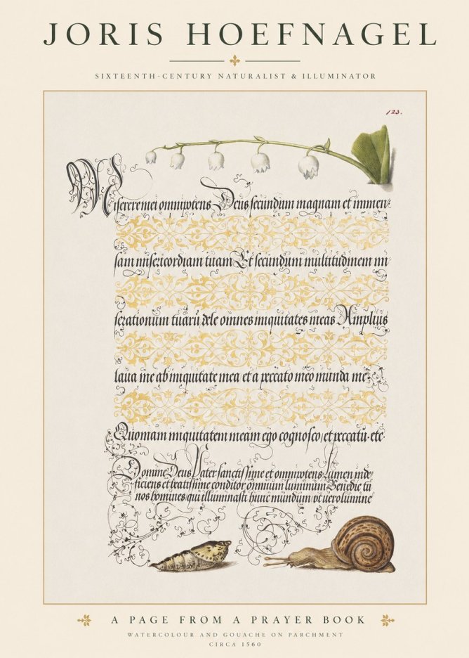 Joris Hoefnagel Lily of the Valley, Snail and Caterpillar No6 - Póster