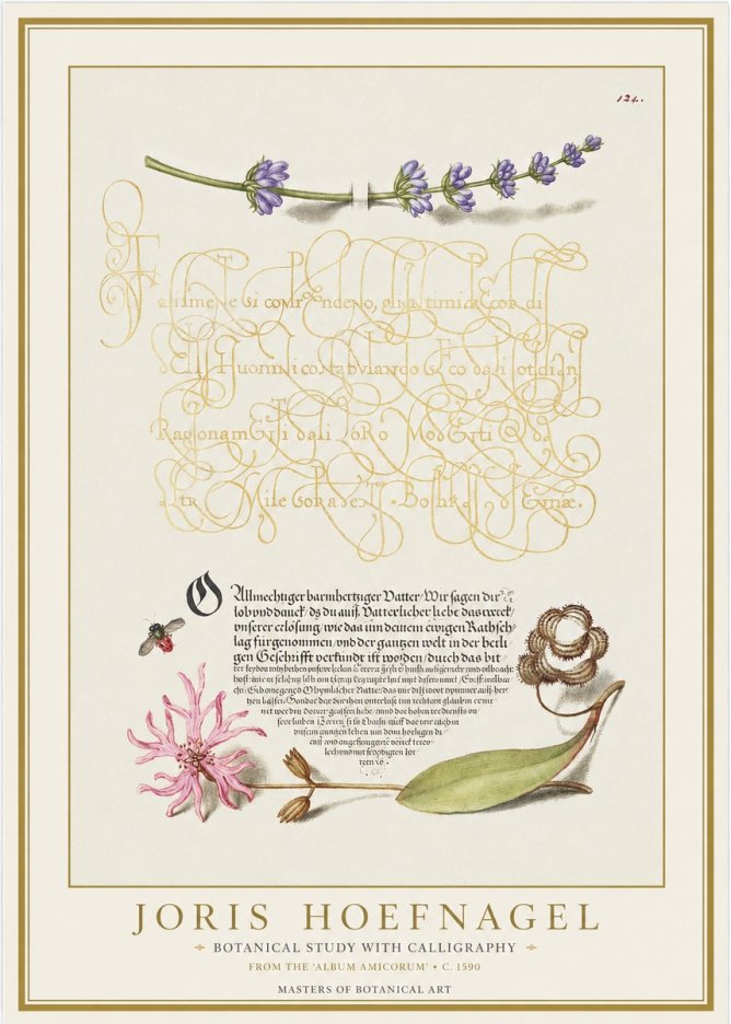 Joris Hoefnagel Botanical Study with Calligraphy IV No1 - Póster