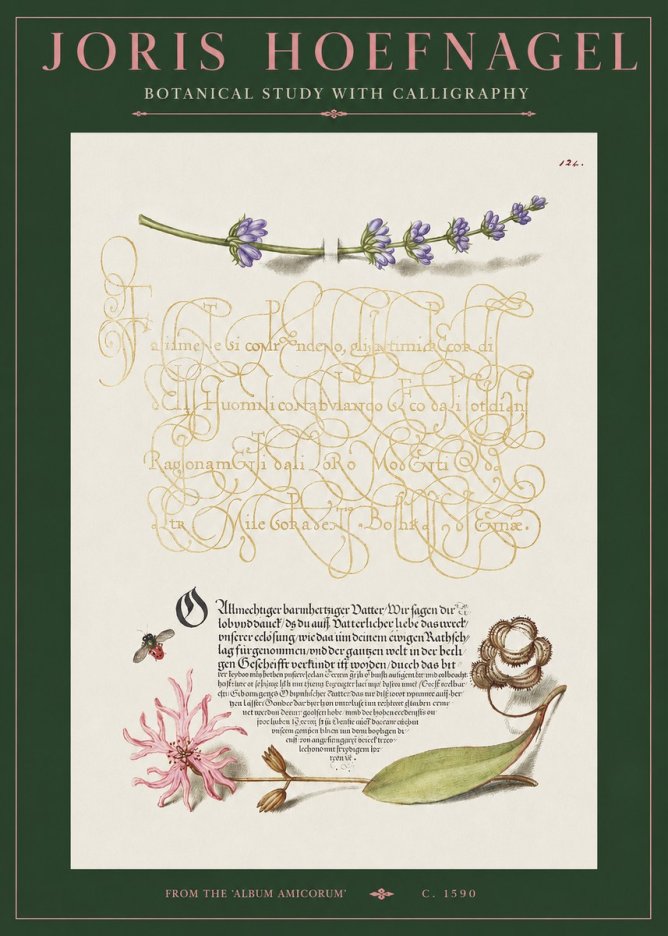 Joris Hoefnagel Botanical Study with Calligraphy IV No2 - Póster
