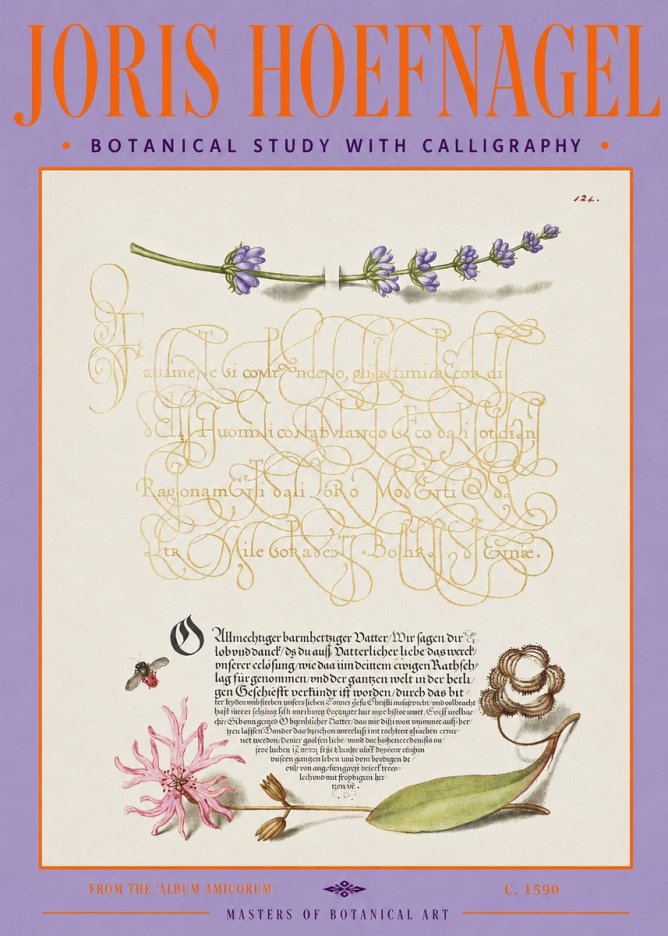 Joris Hoefnagel Botanical Study with Calligraphy IV No3 - Póster