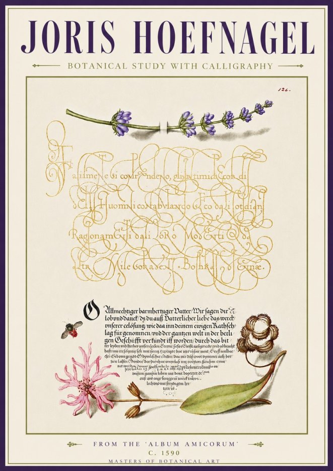 Joris Hoefnagel Botanical Study with Calligraphy IV No5 - Póster