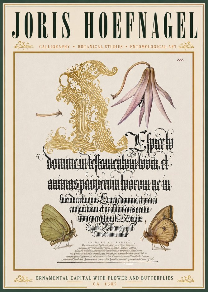 Joris Hoefnagel Ornamental Capital with Flower and Butterflies No3 - Póster