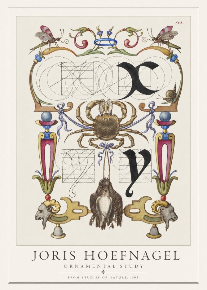 Joris Hoefnagel Ornamental Study II No1 - Póster