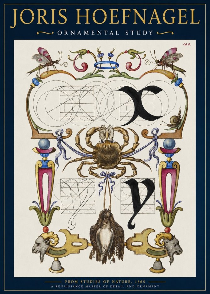 Joris Hoefnagel Ornamental Study II No2 - Póster