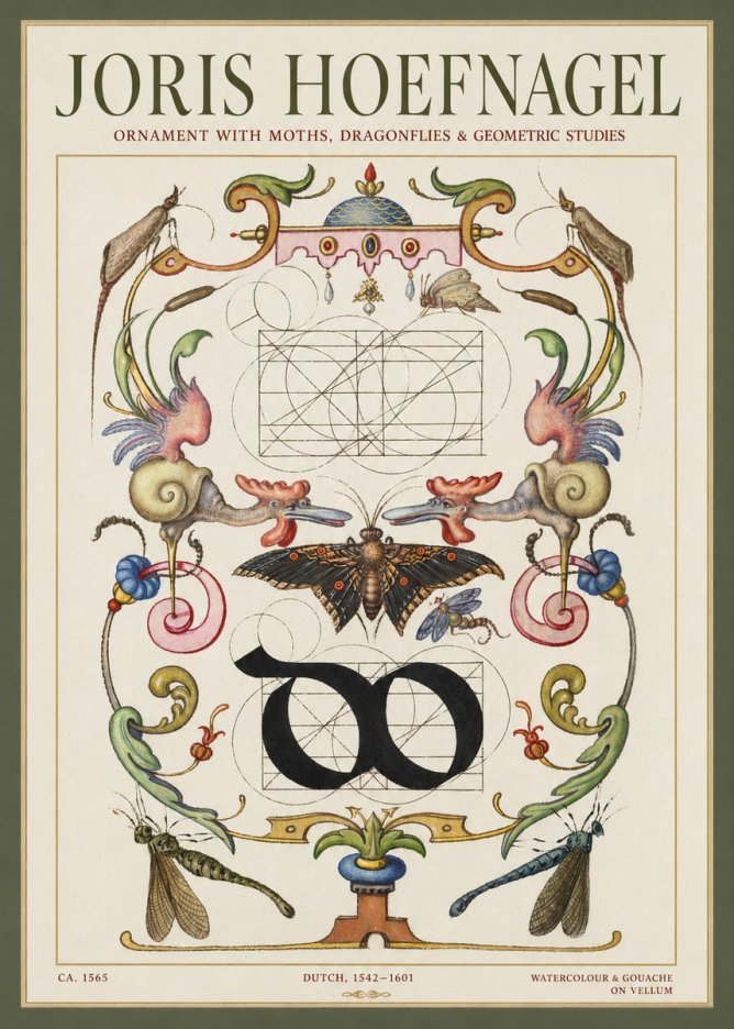 Joris Hoefnagel Ornament with Moths, Dragonflies & Geometric Studies No1 - Póster