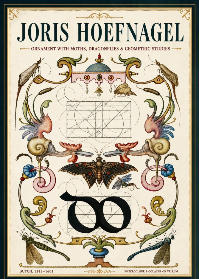 Joris Hoefnagel Ornament with Moths, Dragonflies & Geometric Studies No5 - Póster