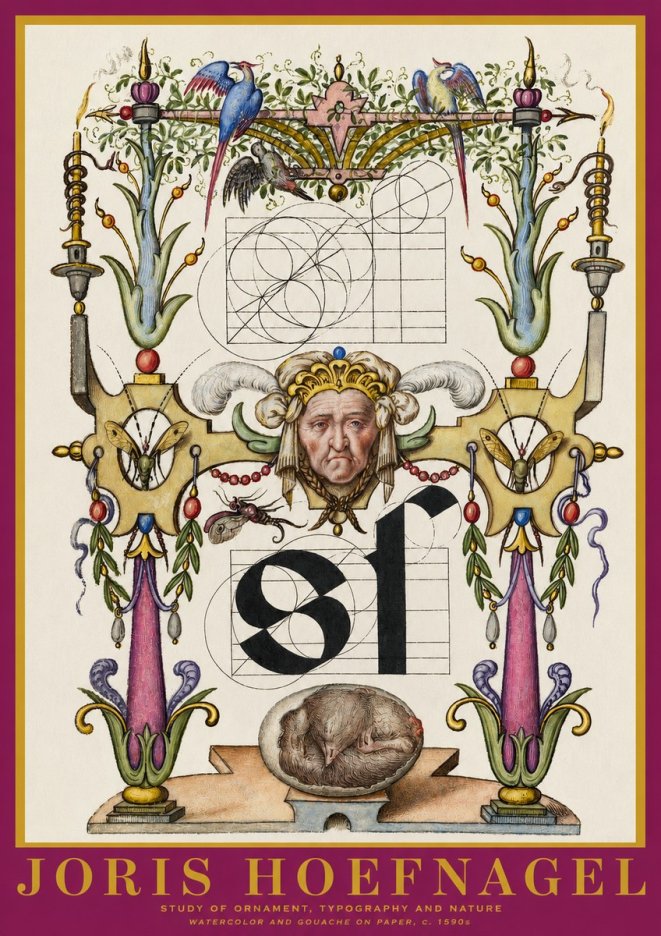 Joris Hoefnagel Mastery in Detail - Renaissance Ornament & Nature Studies No6 - Póster