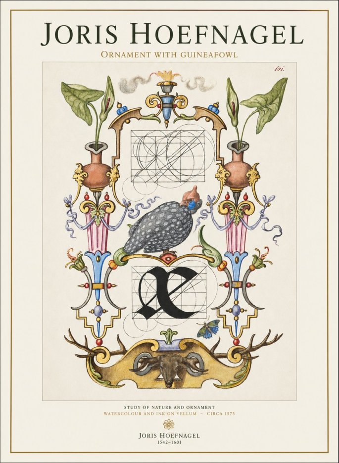 Joris Hoefnagel Ornament with Guineafowl No1 - Póster