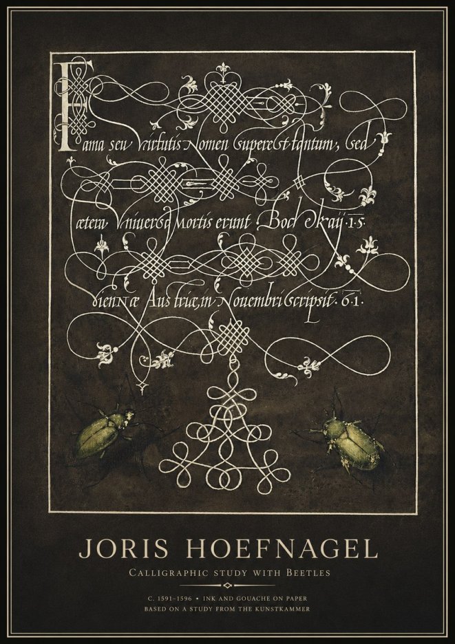Joris Hoefnagel Calligraphic Study with Beetles No1 - Póster