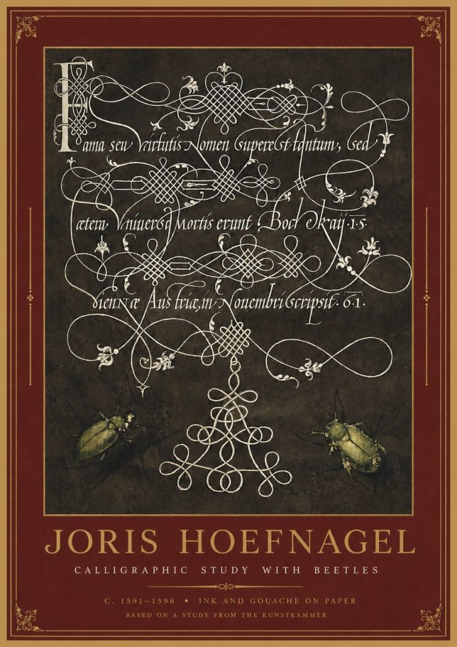 Joris Hoefnagel Calligraphic Study with Beetles No2 - Póster