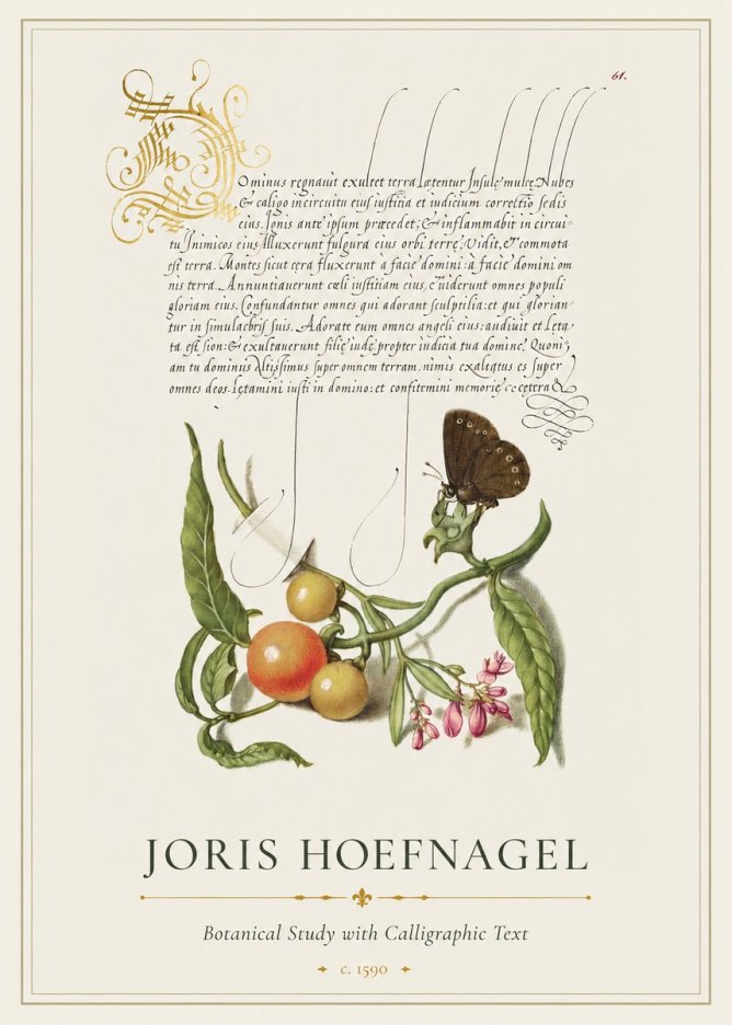 Joris Hoefnagel Botanical Study with Calligraphic Text No1 - Póster