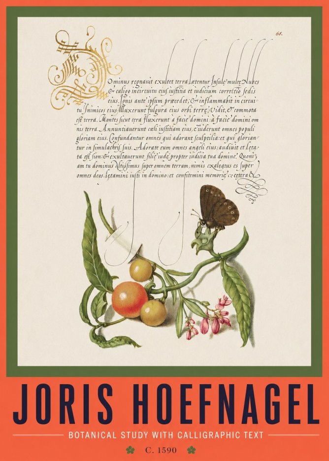 Joris Hoefnagel Botanical Study with Calligraphic Text No2 - Póster