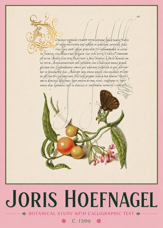 Joris Hoefnagel Botanical Study with Calligraphic Text No4 - Póster