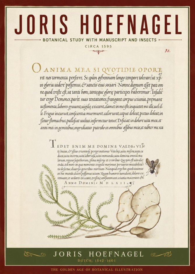 Joris Hoefnagel Botanical Study with Manuscript and Insects No2 - Póster