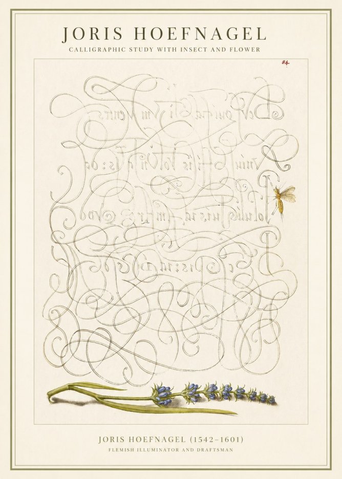 Joris Hoefnagel Calligraphic Study with Insect and Flower No1 - Póster