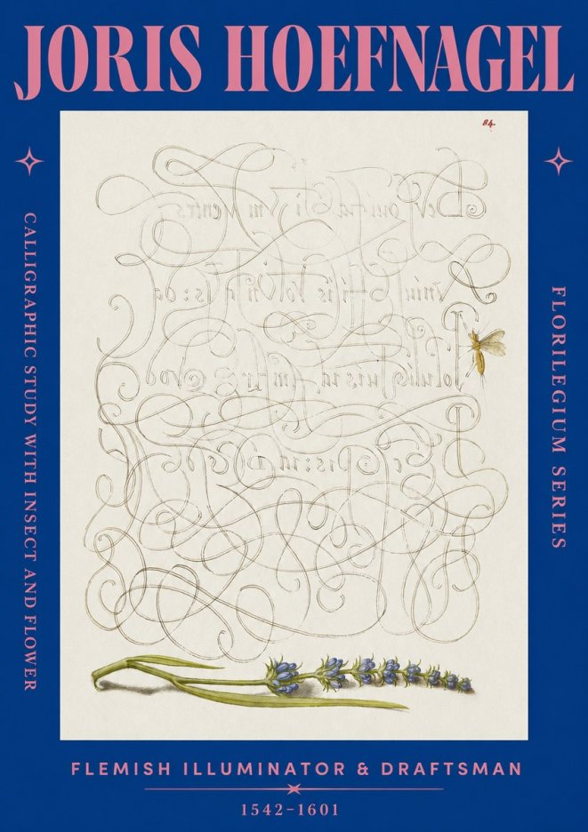 Joris Hoefnagel Calligraphic Study with Insect and Flower No2 - Póster