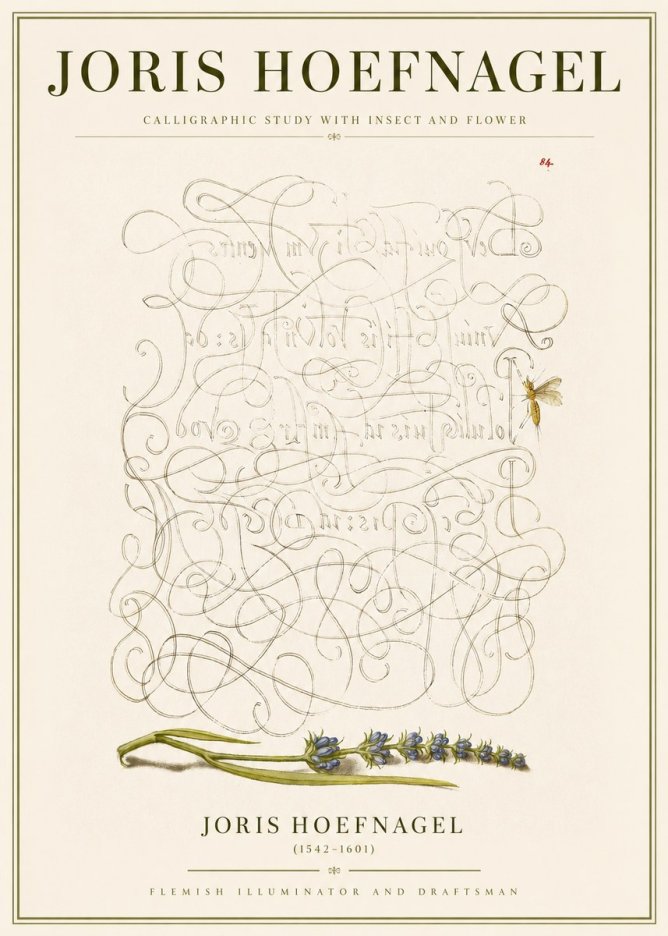 Joris Hoefnagel Calligraphic Study with Insect and Flower No3 - Póster