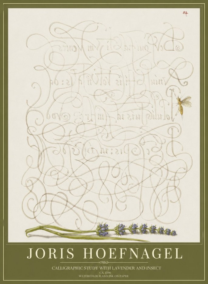 Joris Hoefnagel Calligraphic Study with Insect and Flower No5 - Póster
