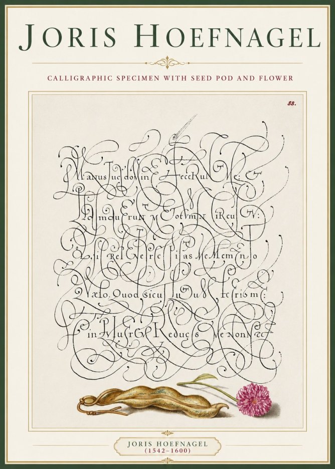 Joris Hoefnagel Calligraphic Specimen with Seed Pod and Flower No3 - Póster