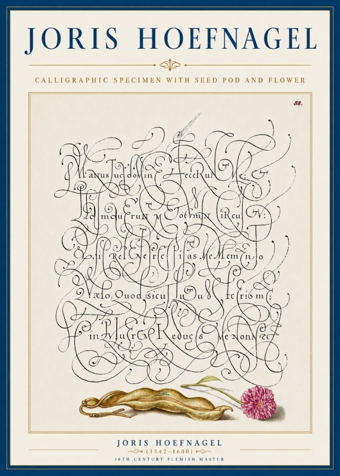 Joris Hoefnagel Calligraphic Specimen with Seed Pod and Flower No5 - Póster