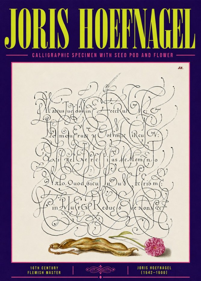 Joris Hoefnagel Calligraphic Specimen with Seed Pod and Flower No6 - Póster