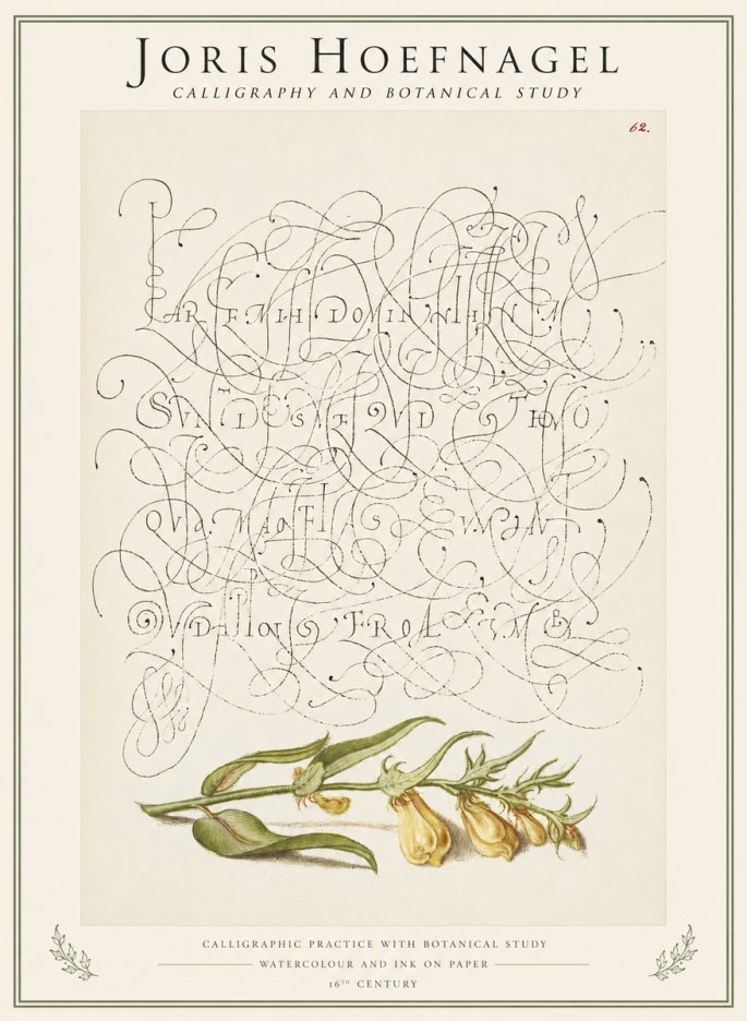 Joris Hoefnagel Calligraphic Practice with Botanical Study No1 - Póster