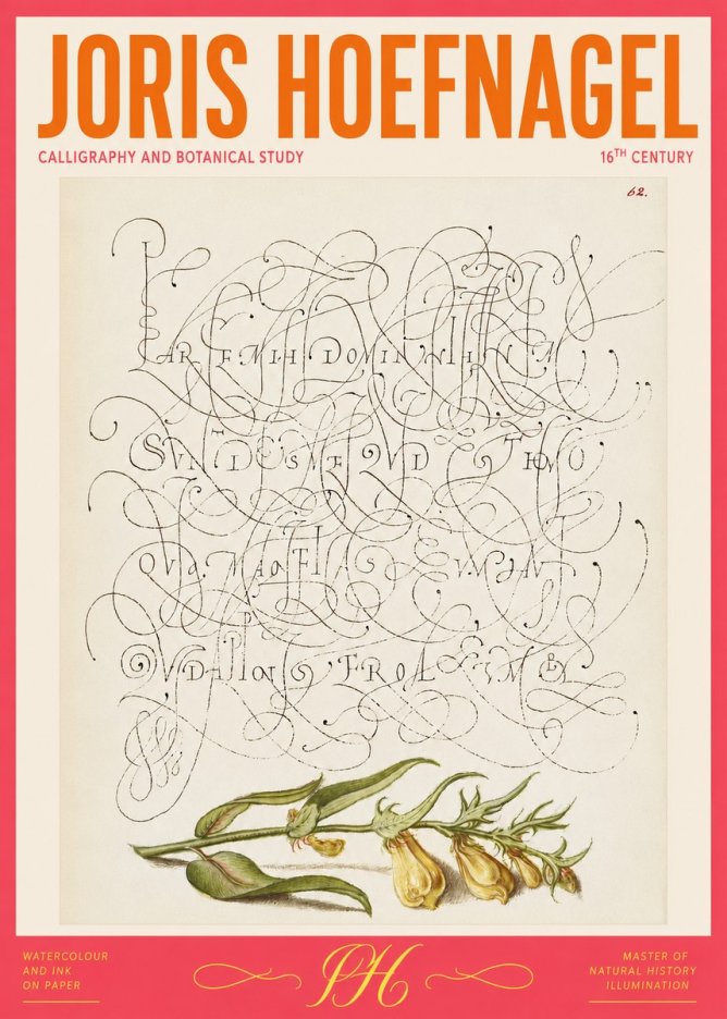 Joris Hoefnagel Calligraphic Practice with Botanical Study No2 - Póster
