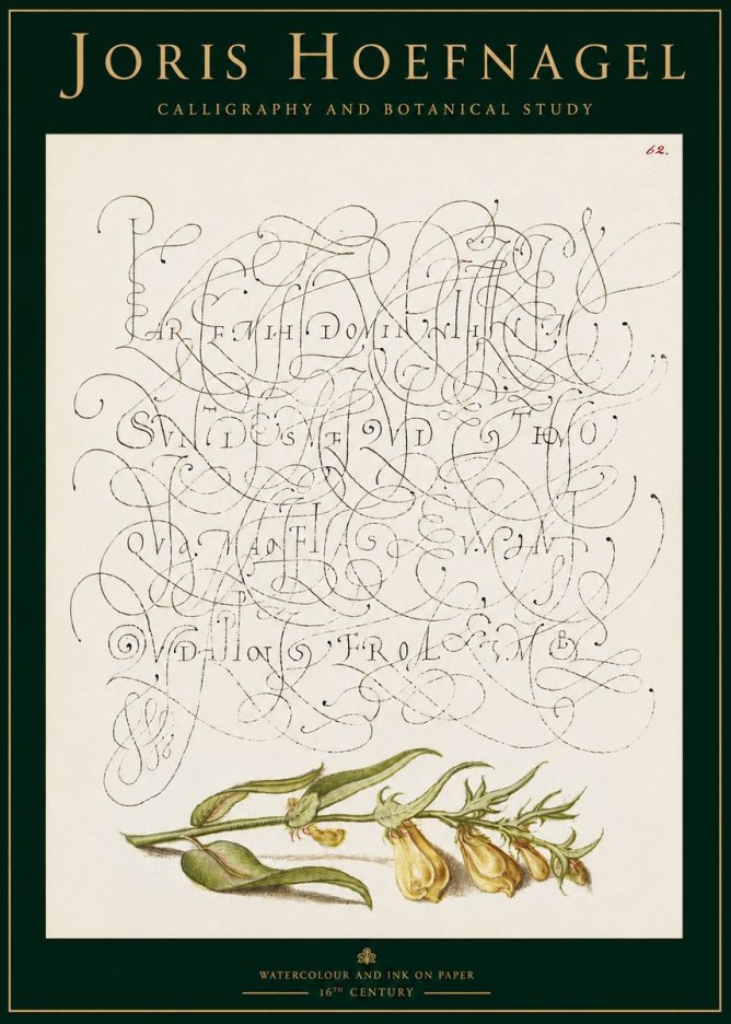 Joris Hoefnagel Calligraphic Practice with Botanical Study No3 - Póster
