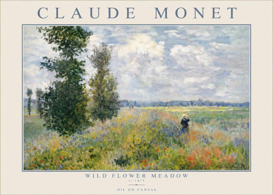 Monet Wild Flower Meadow No5 - Póster