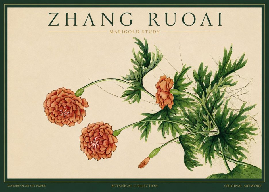 Zhang Ruoai Marigold Study No3 - Póster